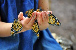 Butterflies Landing on the Hand of a Girl