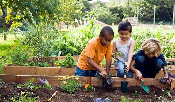 Three Kids Planting Flowering Plants